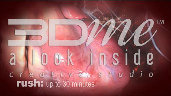 What happens during the 'High phase' of taking crystal meth?