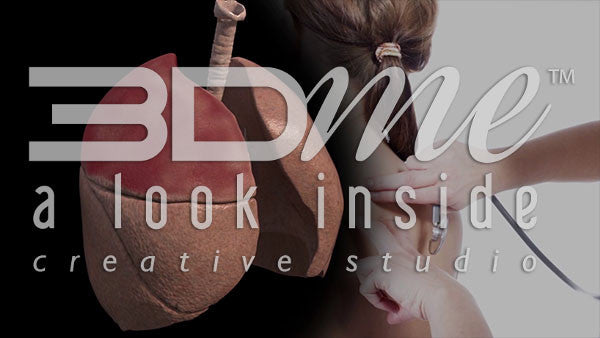 What will the physician look for when examining someone with Lobar Pneumonia?