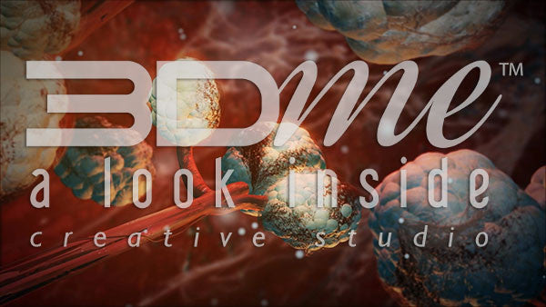 What is the pathway of oxygen as it enters the body?