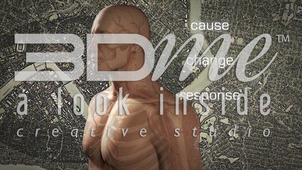 What is the name for the response methods and changes implemented by the body?