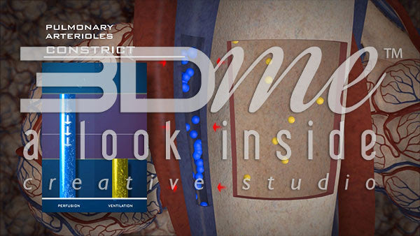 What is Hypoxic Vasoconstriction?