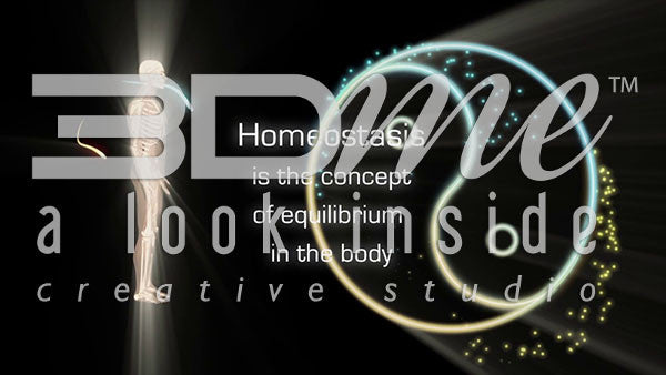 What is Homeostasis?