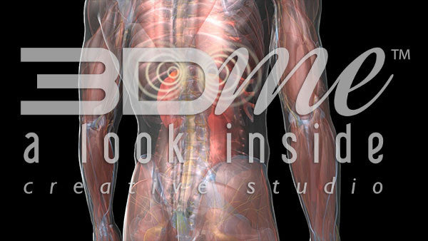 What are the main chemicals released in the body after taking crystal meth?