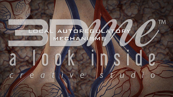 What limits the impact of ventilation perfusion mismatch on gas exchange?