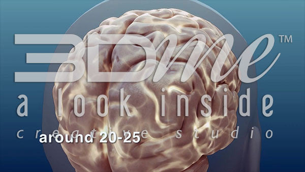 At what age range does our brain fully develop?