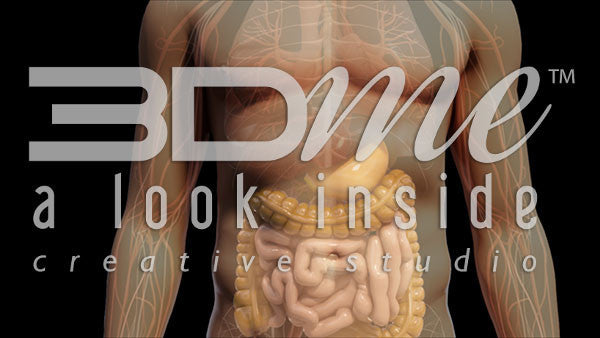 Body Absorption Basic