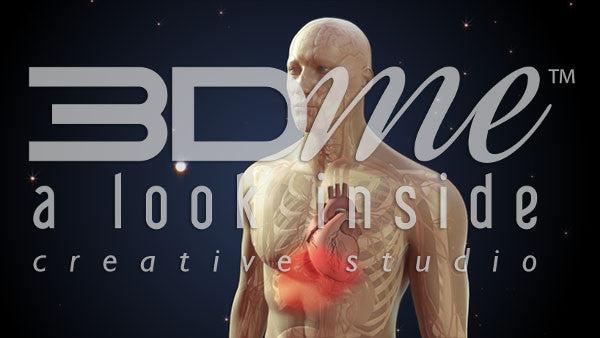 Body Transparent Rotate Intermediate