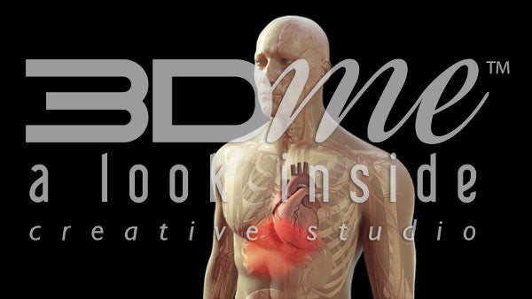 Body Transparent Rotate Basic