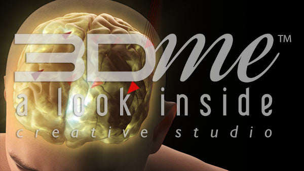 Brain Arrows Red Basic