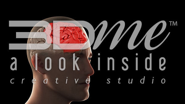 Brain Frontal Lobe Basic