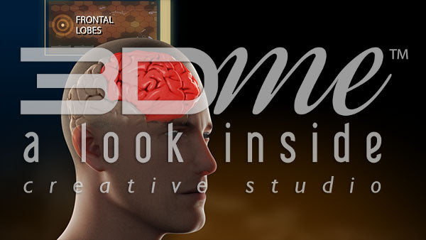 Brain Frontal Lobe Intermediate