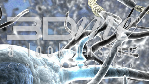 Brain Nerve Cells 15