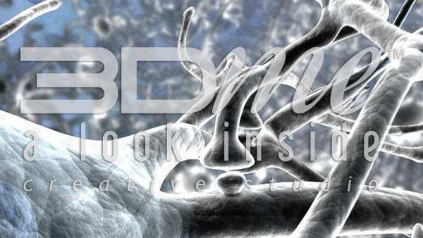 Brain Nerve Cells 18