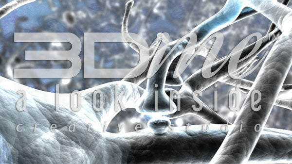 Brain Nerve Cells 19