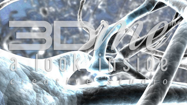 Brain Nerve Cells 20