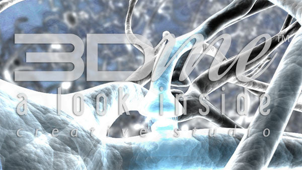 Brain Nerve Cells 21