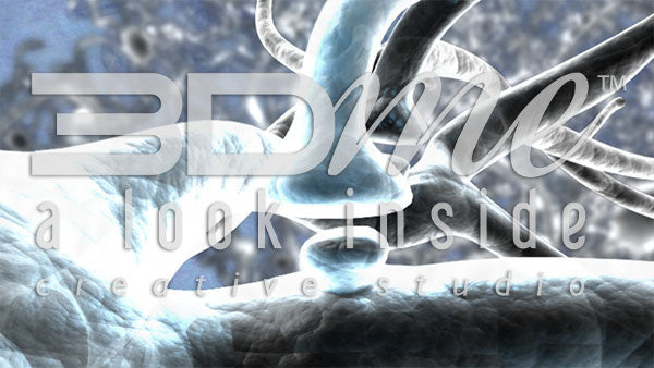 Brain Nerve Cells 24