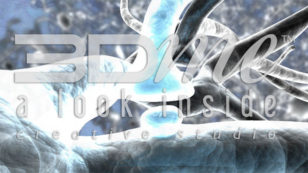 Brain Nerve Cells 25