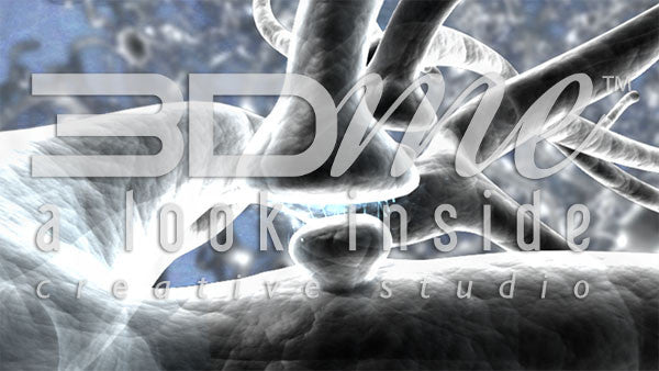 Brain Nerve Cells 26