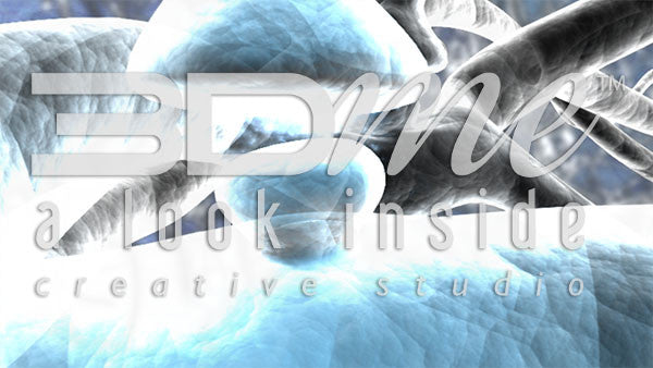 Brain Nerve Cells 29