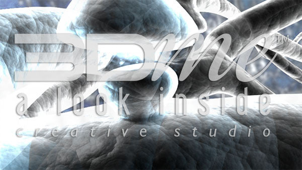 Brain Nerve Cells 30