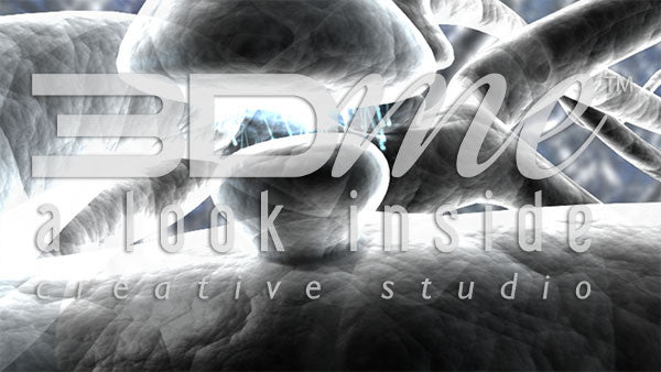 Brain Nerve Cells 32