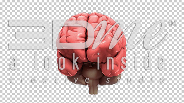 Brain Rotate Pan Left Top 5