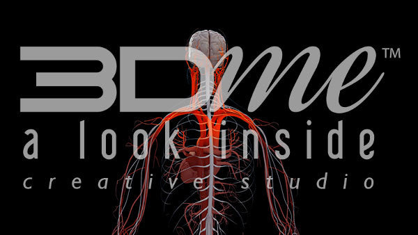 CNS Highlight Rotate Basic