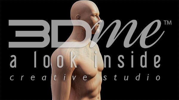 Central Nervous System 3