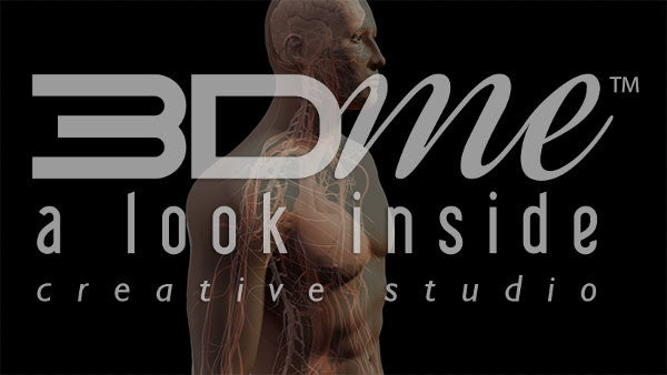 Central Nervous System 4