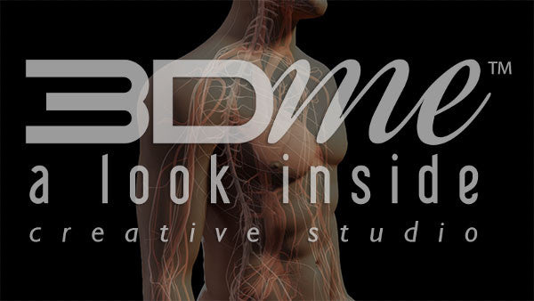 Central Nervous System 5