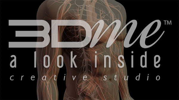 Central Nervous System 6