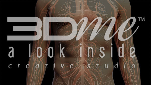 Central Nervous System 7