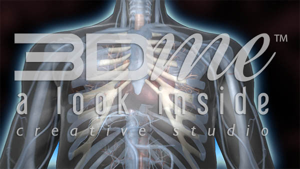 Chest to Beating Heart 3