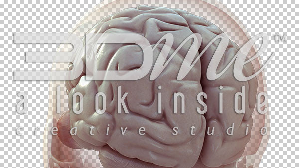 Head Trans Brain Turntable 3