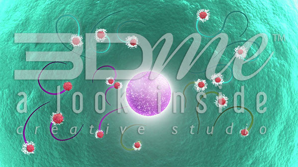 Inside an Antioxidant Nulceus