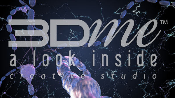 Into Neurons 2 Basic