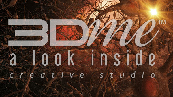 Yellow Orange Neural Network