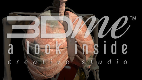 Lungs Pan Spin Damage Basic