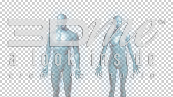 Male Female Liquid Bodies 13