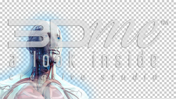 Male Trans Rotate Upper Body 2