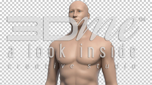 Male Upper Body Rotate 6