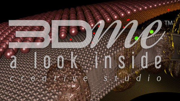 Oxygen Phosphorylation 1