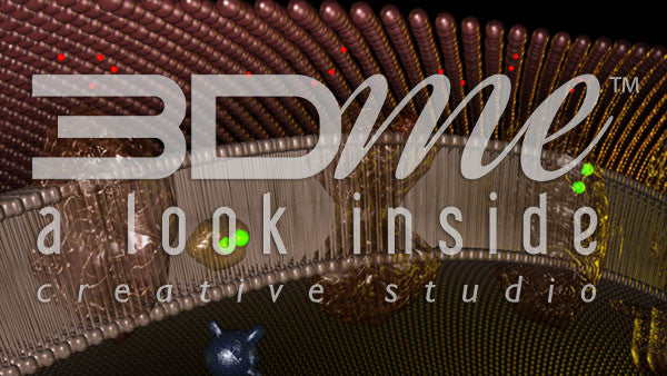 Oxygen Phosphorylation 2