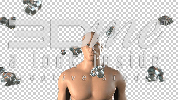 Streptococcus Pneumoniae 2