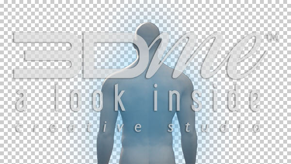 Male Complete Trans 3