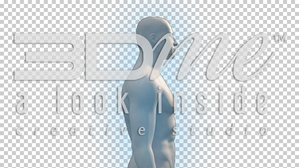 Male Complete Trans 4