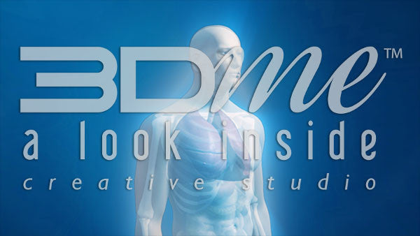 Male Complete Trans Intermediate