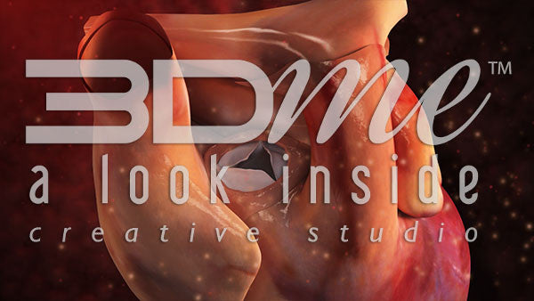 Heart Valve Zoomin 2