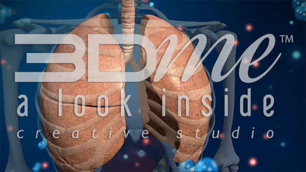 Ventilation & Perfusion 4